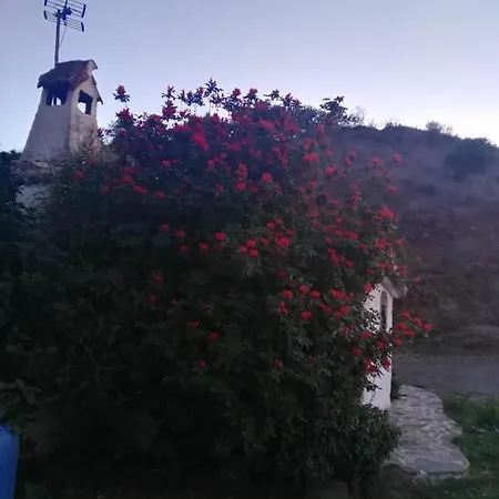 Chalet El Almendra